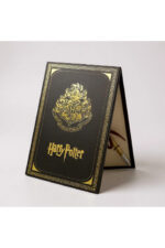 Harry Potter Tüylü Kalem ve Anahtarlık Seti – Hediyelik Özel Kutu - Görsel 2