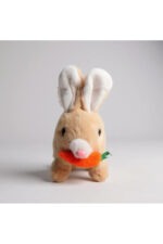 Hamilelik ve Anne Bebek Anı Defteri + Zıpzıp Tavşan Peluş Hediye Seti - Görsel 2